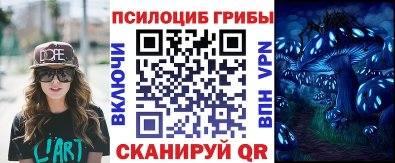 Галлюциногенные грибы Psilocybine cubensis  ОМГ ОМГ tor  Поворино 